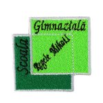 Scoala Gimnaziala Regele Mihail