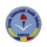 Scoala Gimnaziala Vasile Seicaru Oancea