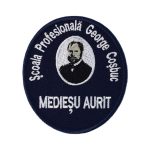 Scoala Profesionala George Cosbuc Mediesu Aurit
