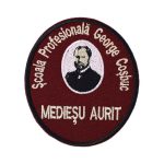Scoala Profesionala George Cosbuc Mediesu Aurit (2)