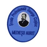 Scoala Profesionala George Cosbuc Mediesu Aurit (3)