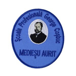 Școala Prof. „George Coșbuc” Medieșu Aurit 1